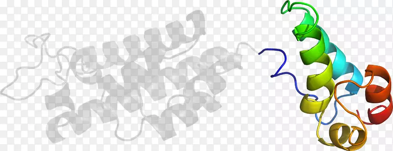 ��ľ������-��-������