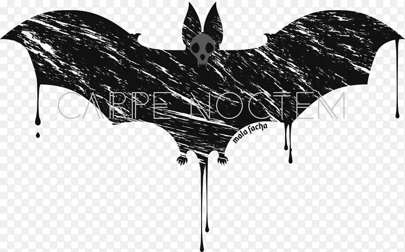 ��ɡ��ɫ����ɡ-������