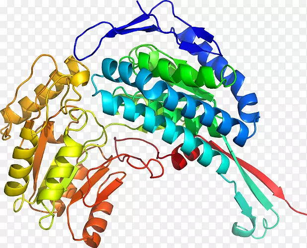 �����鱦�л�������������.�鱦-������