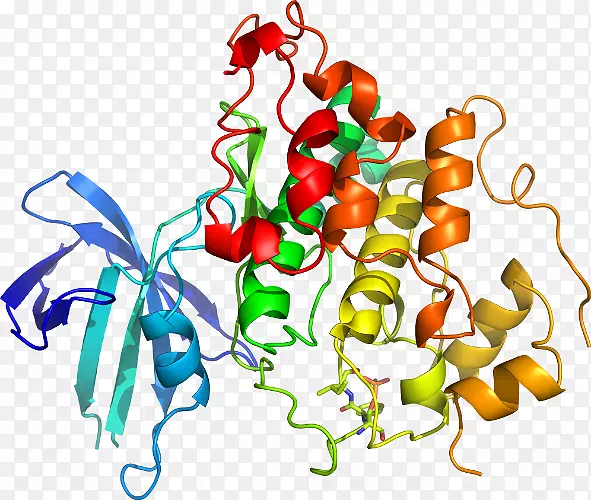 �߲��л���ϵ�м�����-�߲�-������