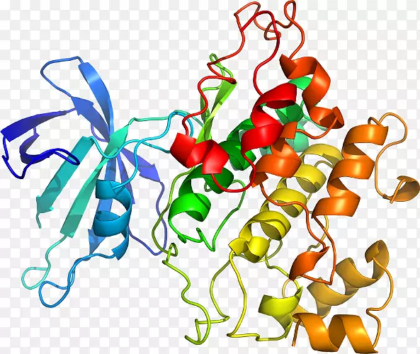 �߲�����������-�߲�-������