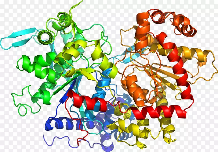 ����ʳ����������-��-������