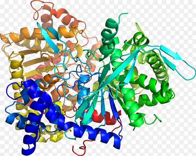 ���������鱦�л�����������鱦����-������