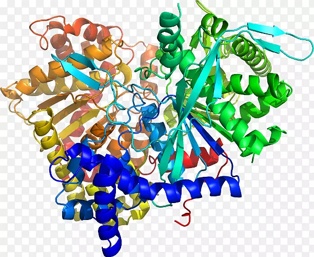 ��������ʳ����壬�鱦��������-��-������