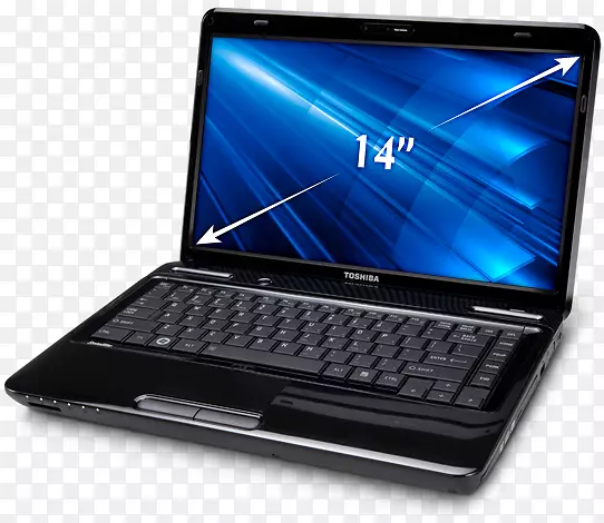 �ʼǱ����Զ�֥���Ǵ������Զ�֥����-������