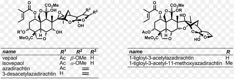 ֽ��-��ɫ����-����-������