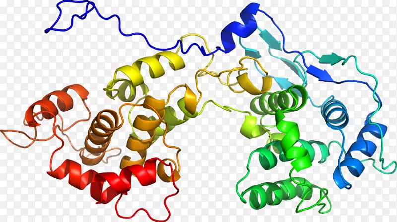 �ߵ������������-������