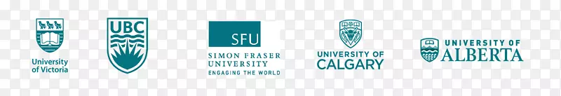 �̱��������-������