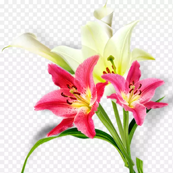 ������ưٺϻ��л������ٺϻ�����-������