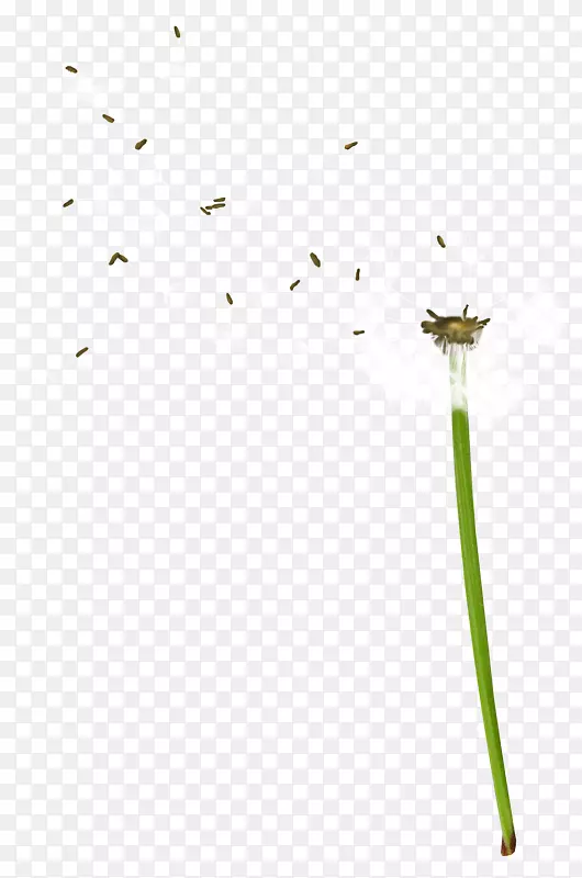 ��ש��ɫ�ذ����ͼ��-�ѹ�ӢPNG-������