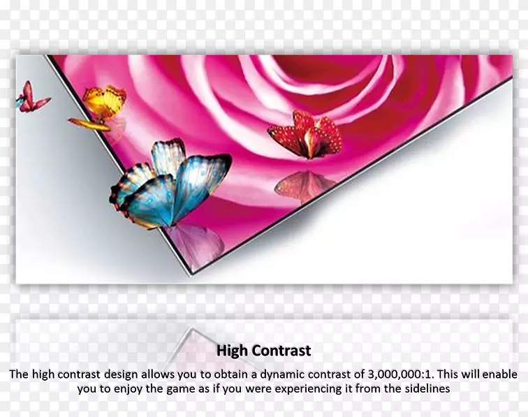 Ʒ�����-������