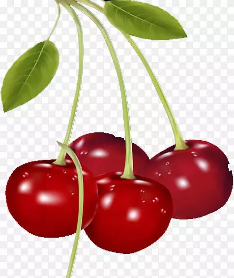 ӣ����ˮ��������-ӣ��-������