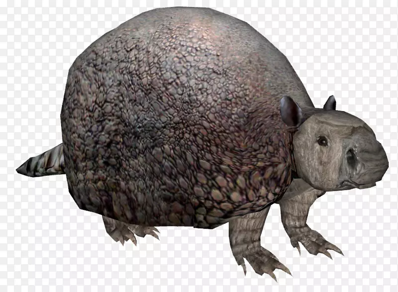 ������½���������-������