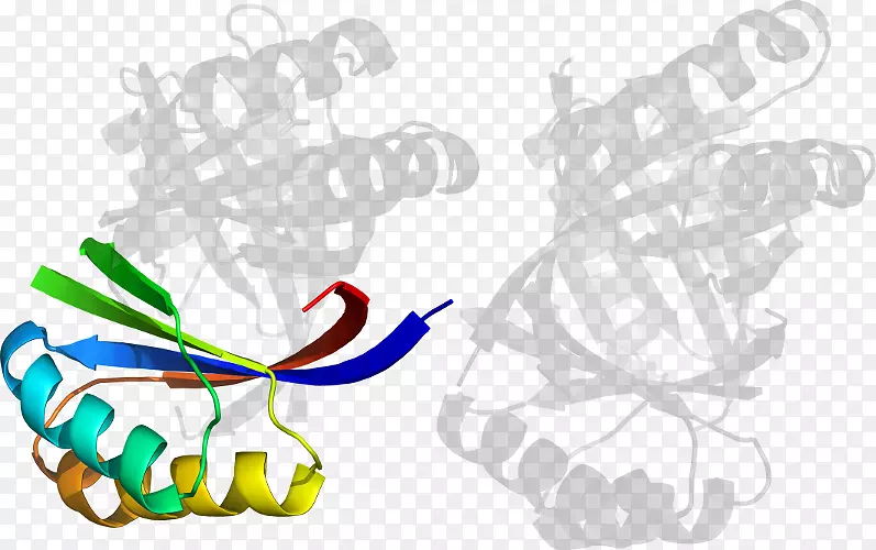 ��ָ���������-������