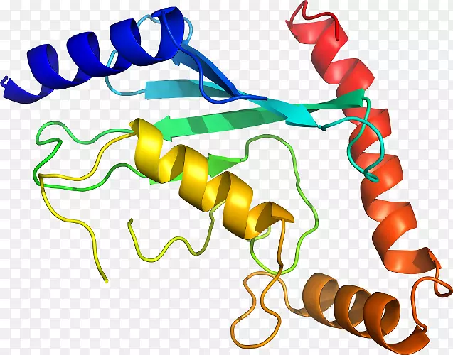 �ߵ������������-������