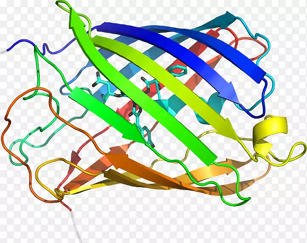 �ߵ������������-������