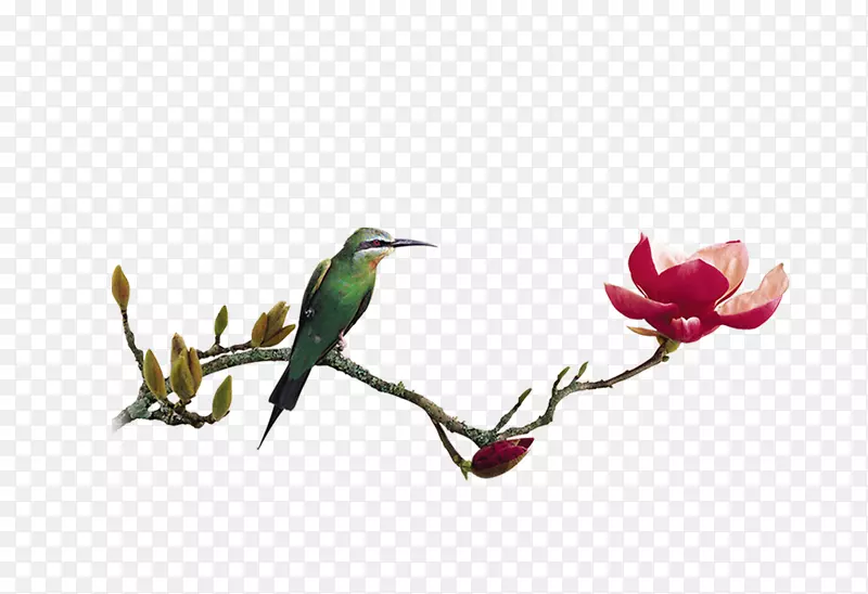 Ӥ����ֽ-��ͳ�ŵ������-������