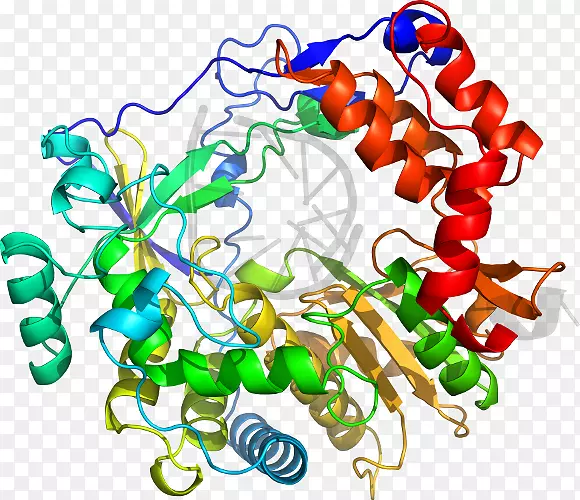 ����ʳƷ�����鱦�������鱦����-������