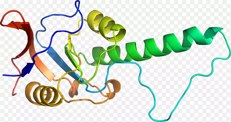 ������Ϊ���������-������