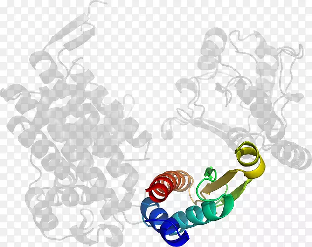 �����鱦������.���-������