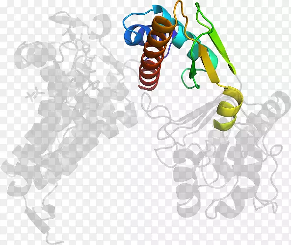 ���������-����-������