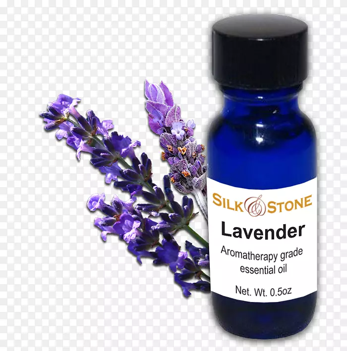 Ӣ��޹�²��;��ͱ���-޹�²���-������