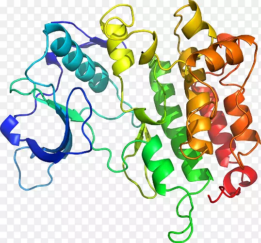 �����鱦�л�������������.�鱦-������