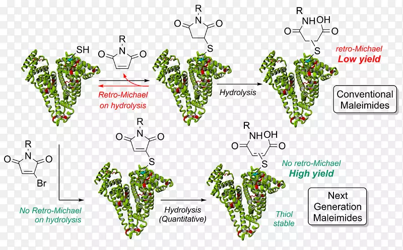 ����ֲ���ߴ����������-������