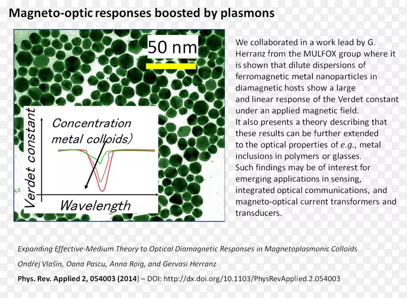 ����Ҷ����-��-������