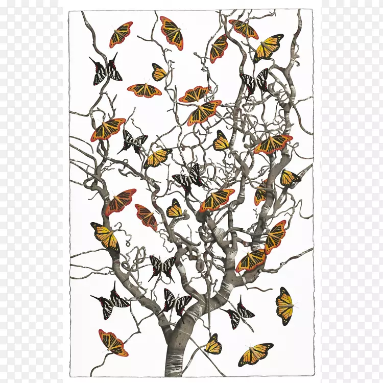 ������������Ӿ���������-������