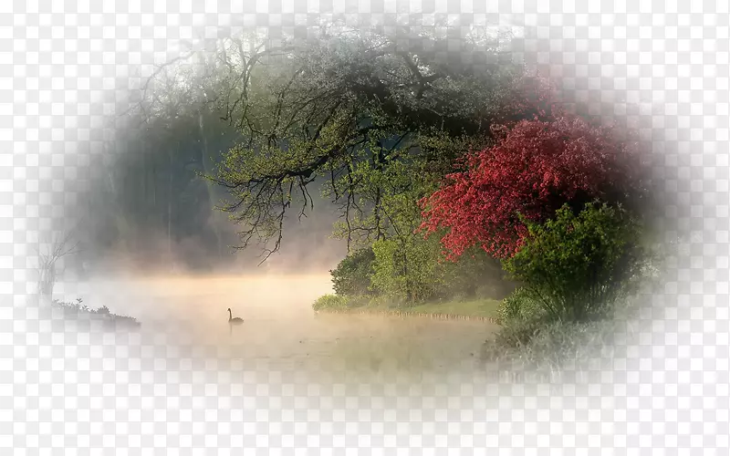 �����ֽ������ˮ��ֽ��-������