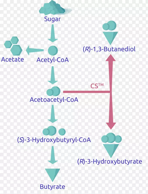 �㼼��������.����-������