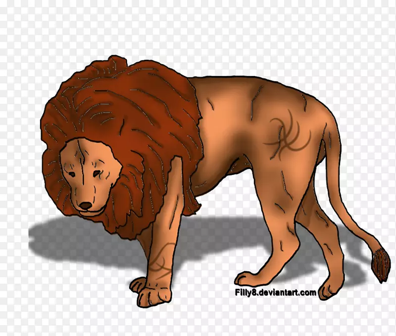 ��è��ͨ����-��-������