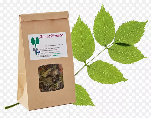 ���ԭ����Ӱ-���-������