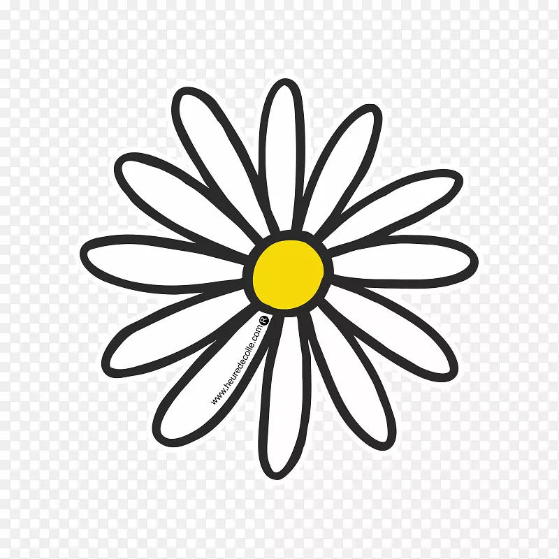 �����ּ������ɫ��ӷ���ѧ.��ѧ-������