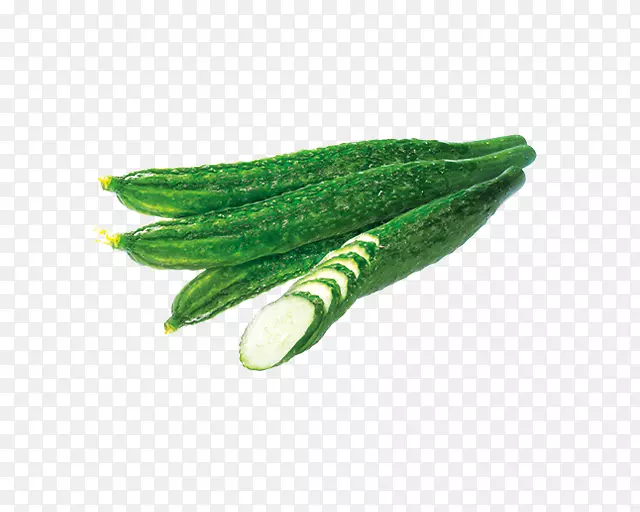 Ҷ�ƹ�-������