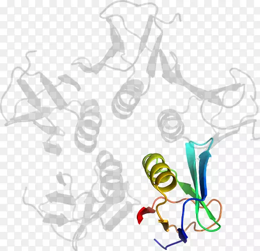 ����������-������