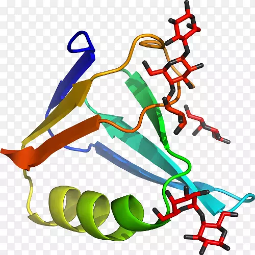 �ߵ�Ь�л����������-������