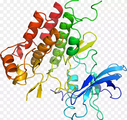 ֲ�ﾥ�߶����������-������