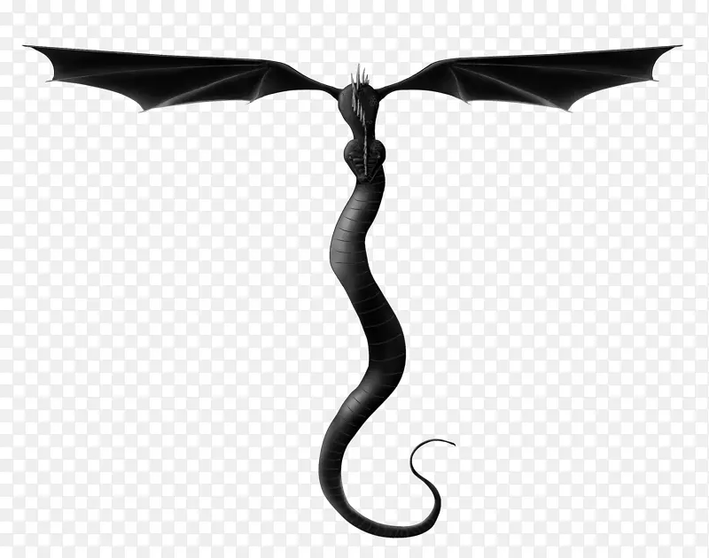 ����-��-������