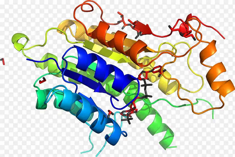 �ߵ������������-������