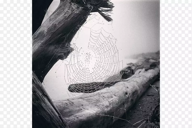 ��Ӱʦ�ڰ���Ӱiphone-��Ӱʦ-������