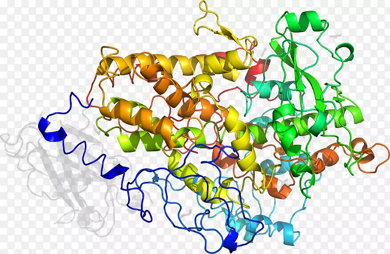 ��ʳ�߼�����-��-������