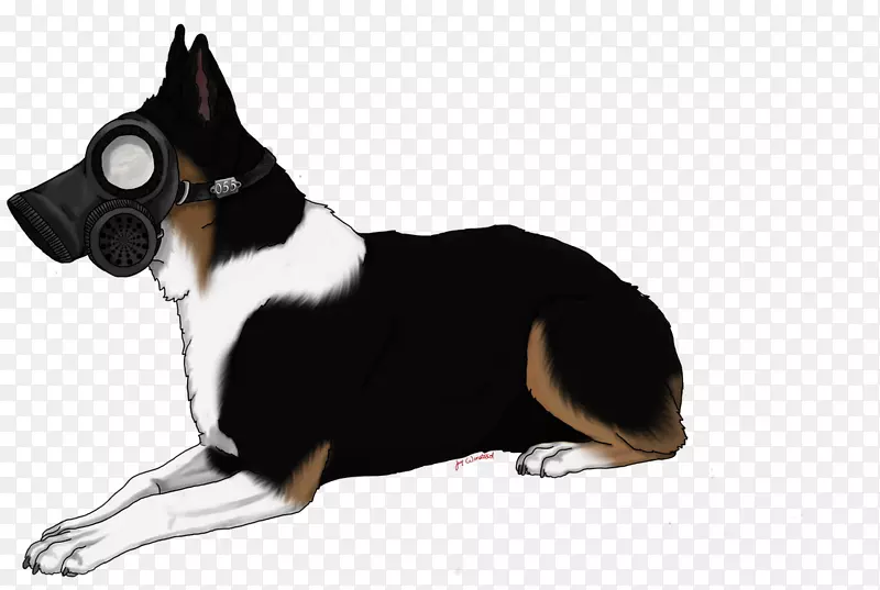 ��������ѩ��Ȯ-������