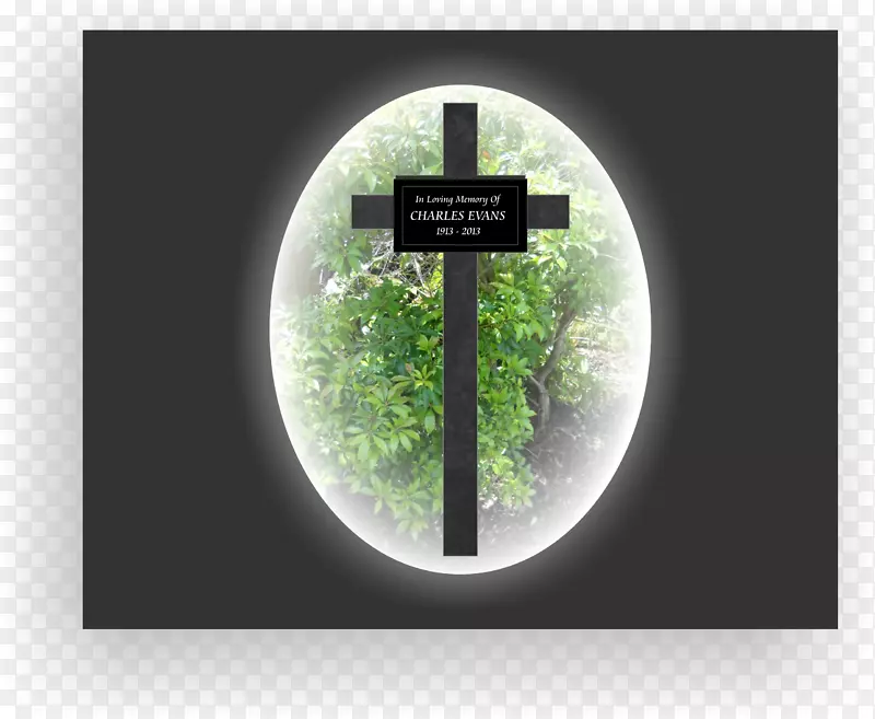 ����������-������