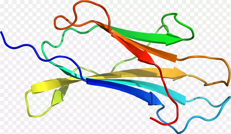 �ߵ������������-������