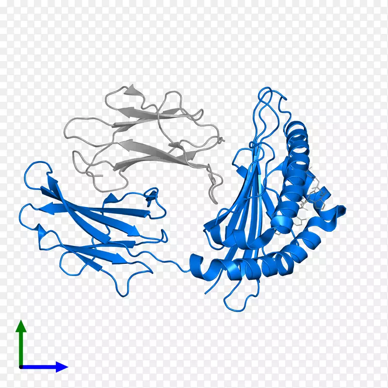 ƽ����Ƽ�����.���-������