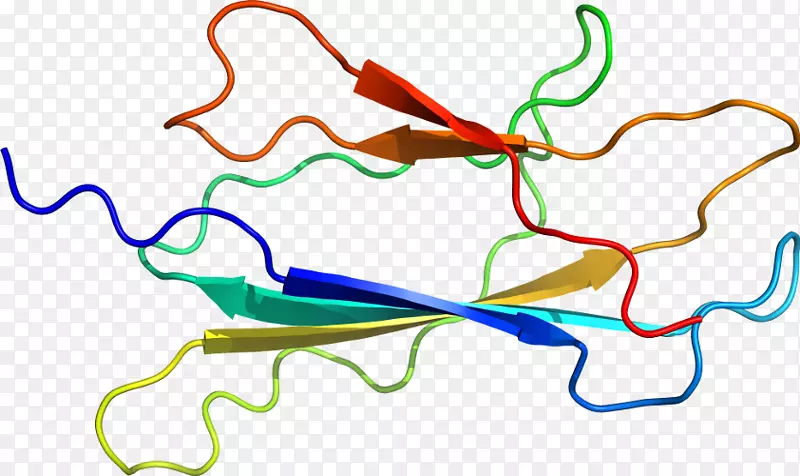 �ߵ������������-������