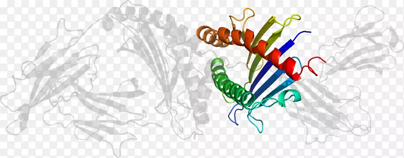 ƽ����ƻ滭���������-������