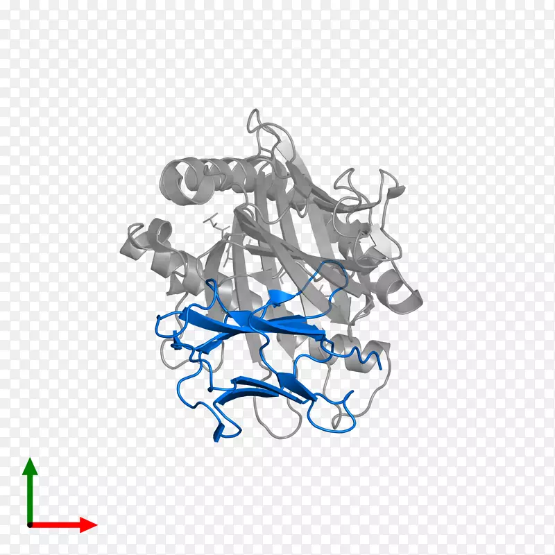 ֱ�ߵ���-������